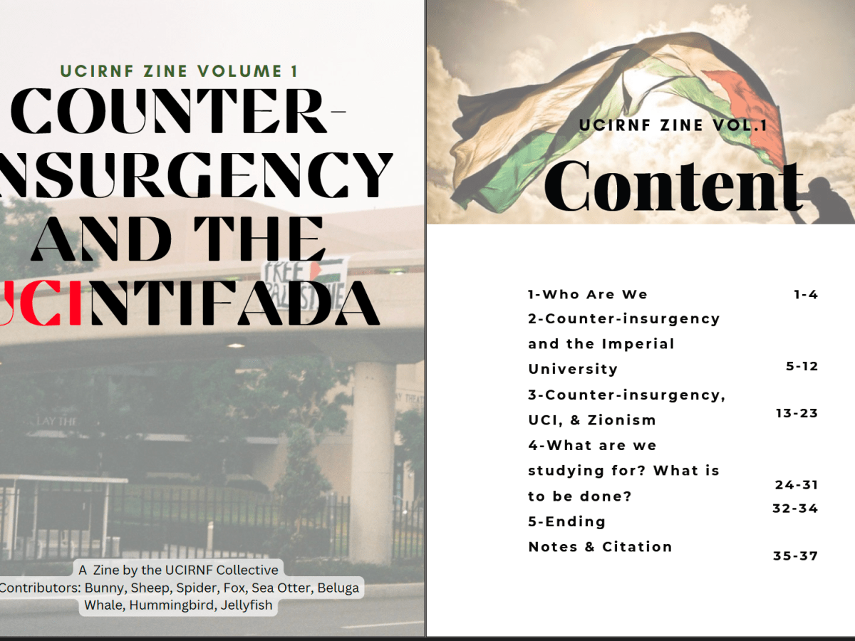 Counter-Insurgency and the&nbsp;UCIntifada